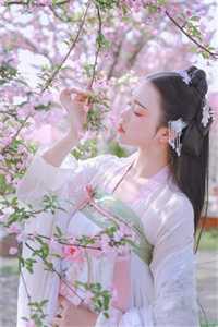 最新章节列表妾本风华，万物皆是我的垫脚石顾霆夜陆芊芊_妾本风华，万物皆是我的垫脚石顾霆夜陆芊芊小说完整版